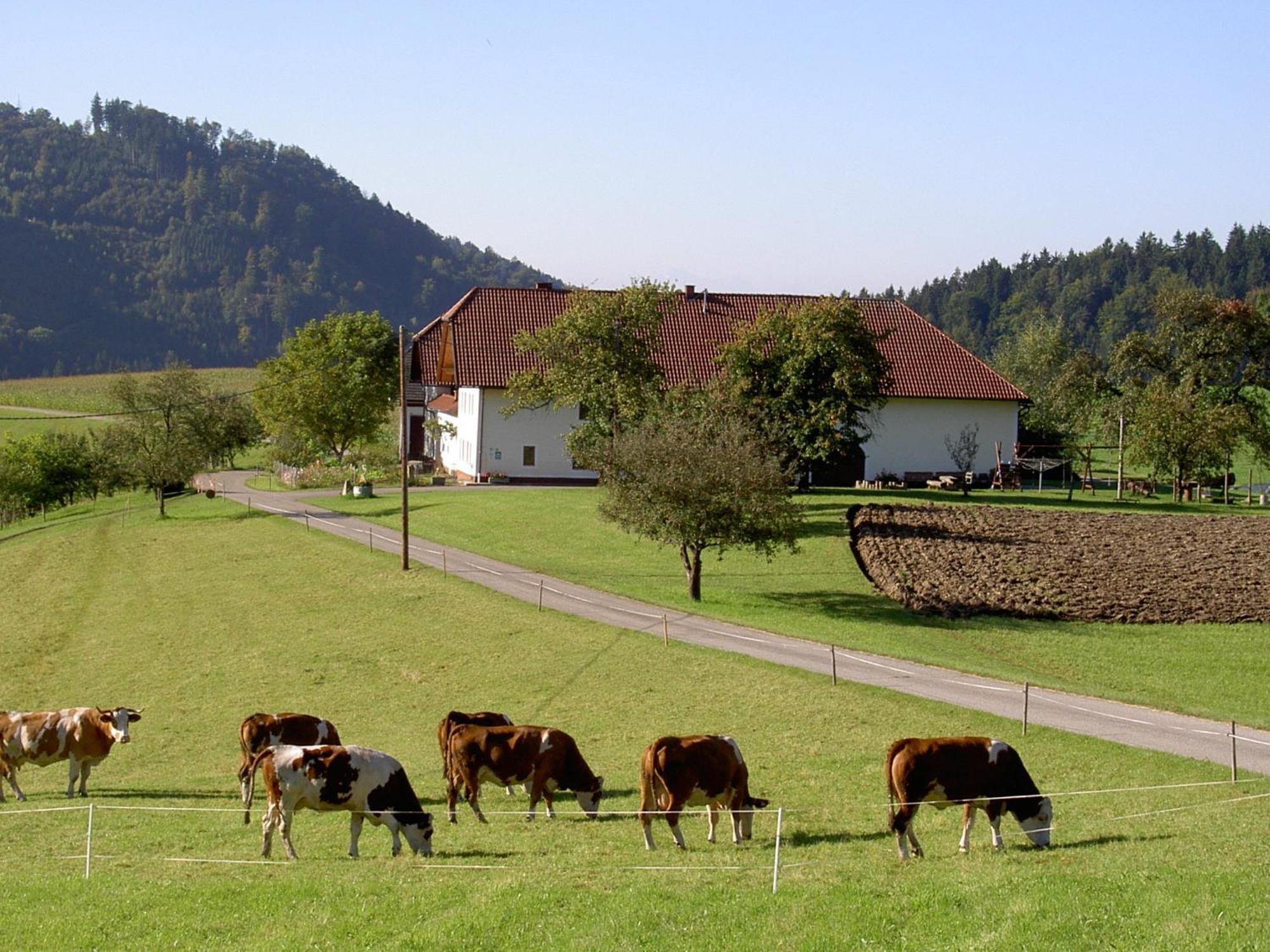 Urlaub Am Bauernhof Wenigeder - Familie Klopf Villa Gutau Exterior photo